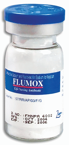 Flumox 1's